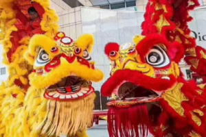 开业典礼，必有醒狮助兴，长盛不衰，历代相传